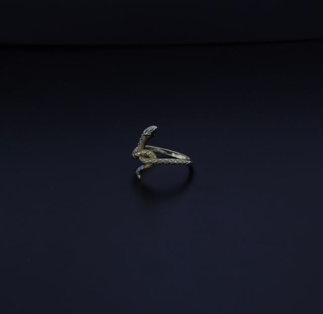 Anello serpente in argento 925‰