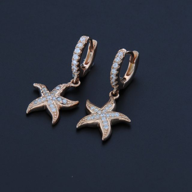 Orecchino a cerchi con stelle pendenti