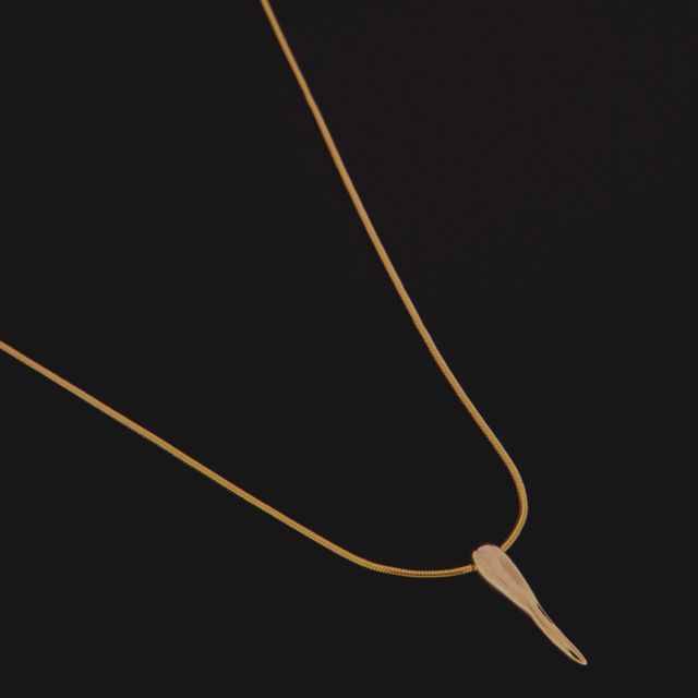 Collana con corno pendente in argento 925‰ dorata